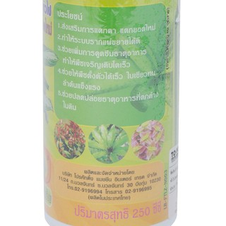 ถูกที่สุด✅  ไบโอ ไลซ์ สำหรับไม้ประดับทั่วไป 250 มล. BIOLIZE Fertilizer for Common Ornamental Plants 250ml.