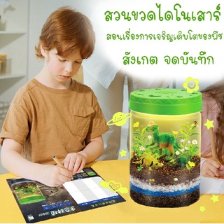 DI088-ST150 ของเล่น DIY Dino garden + lighting box สวนขวด กิจกรรมปลูกต้นไม้ สวนไดโนเสาร์ มีไฟ พร้อมอุปกรณ์ปลูกต้นไม้