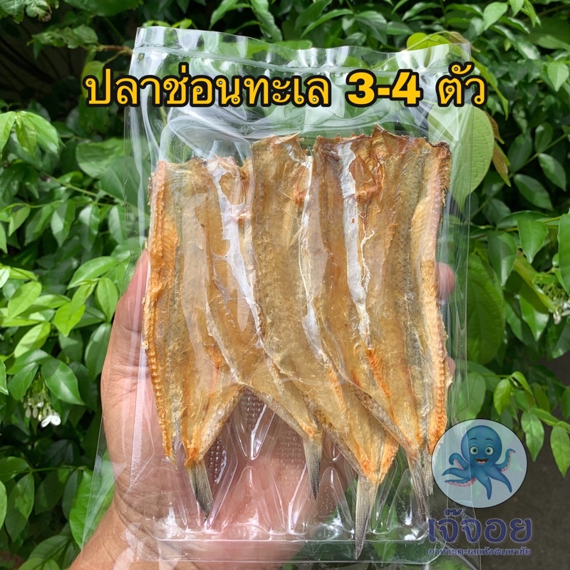 (อันดับ 1) อาหารทะเลแปรรูปราคาส่ง สดใหม่จากมหาชัย 🦑 (สั่งขั้นต่ำ 3 แพ็ค คละกันได้) - 2