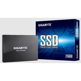 SSD GIGABYTE 256GB SATA GP-GSTS31256GTND(รับประกัน3ปี)