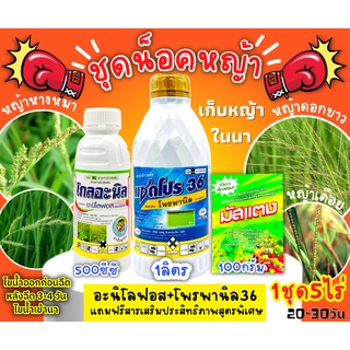 🌾 ชุดยาเก็บหญ้าในนาข้าว (โกลอะนิล+แซดโปร36+มัสแตง) ขนาด 1ลิตร+500ซีซี+100ก. กำจัดหญ้าข้าวนกหญ้าแดงดอกขาว1ชุดใช้ได้5ไร่