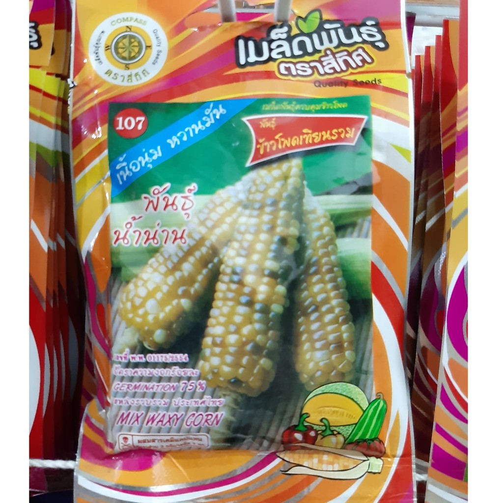 เมล็ดข้าวโพดเทียนรวม 10 แถม 1 คละได้ ข้าวโพด เทียนรวม เมล็กผัก เมล็ดพันธุ์