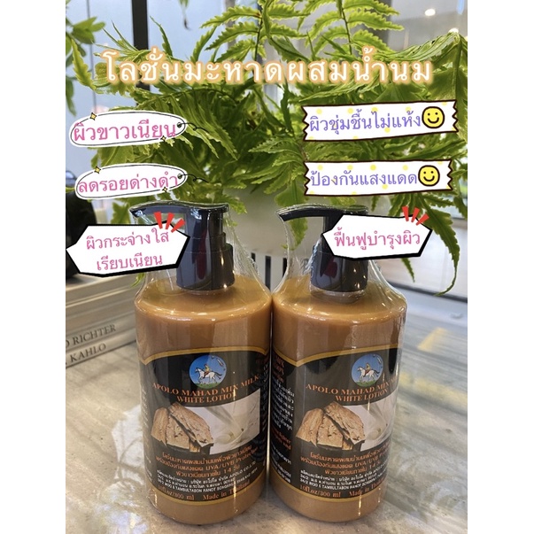 ขนาดใหญ่คุ้ม💝โลชั่นมะหาดผสมน้ำนมเพื่อผิวขาวเนียนป้องกันแสงแดดเป็นสารสกัดจากมะหาดเข้มข้นเพิ่มความขาวเนียน ขนาด 1000 ml