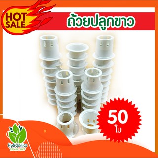 ถ้วยปลูกผักไฮโดรโปรนิกส์ 50 ใบ สามารถนำกลับมาใช้ซ้ำได้