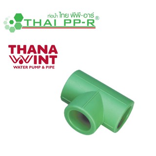 สามทาง PP-R ขนาด 20-110 mm ตราไทยพีพี-อาร์ (THAI PP-R)