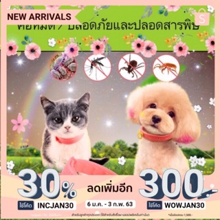 🐾Hi Pet🐾 ปลอกคอกำจัดเห็บหมัด ยากำจัดเห็บหมัด ผลิตภัณฑ์กำจัดเห็บหมัด ยาหยอดกำจัดเห็บ หมัด สำหรับแมว