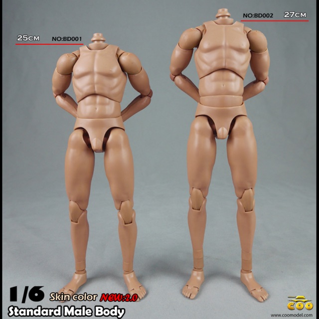 COOMODEL BD002 Narrow shoulders male Body 2.0