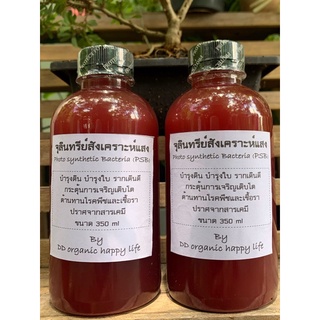 หัวเชื้อจุลินทรีย์สังเคราะห์แสง ขนาด 350ml (อาหารต้นไม้และพืชผักทุกชนิด)