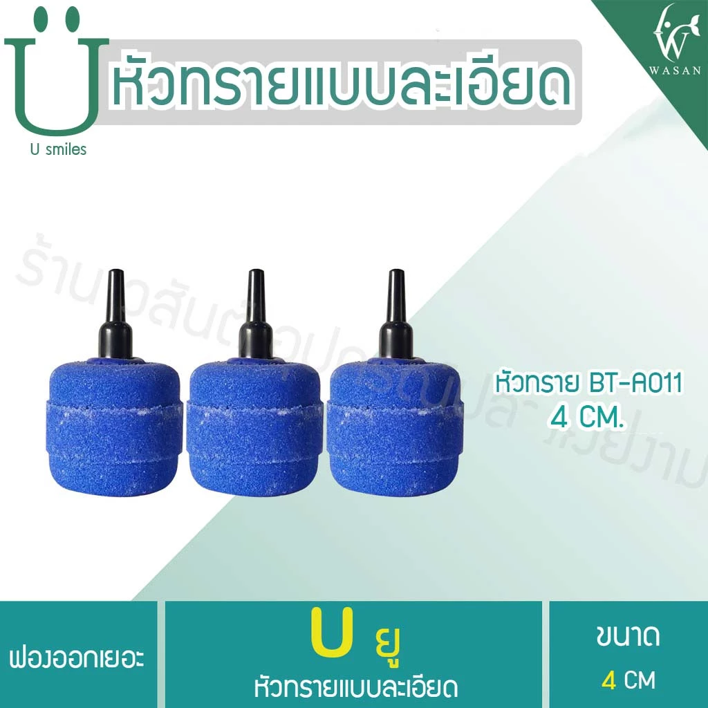 หัวทรายละเอียด thumbnail 10
