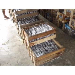 เชื้อเห็ดฟาง อีแปะอีหยิบ ขั้นต่ำ 10 ถุง(ชุดทดลองปลูก)(พร้อมจัดส่ง)แถมเพิ่ม 2 ถุง