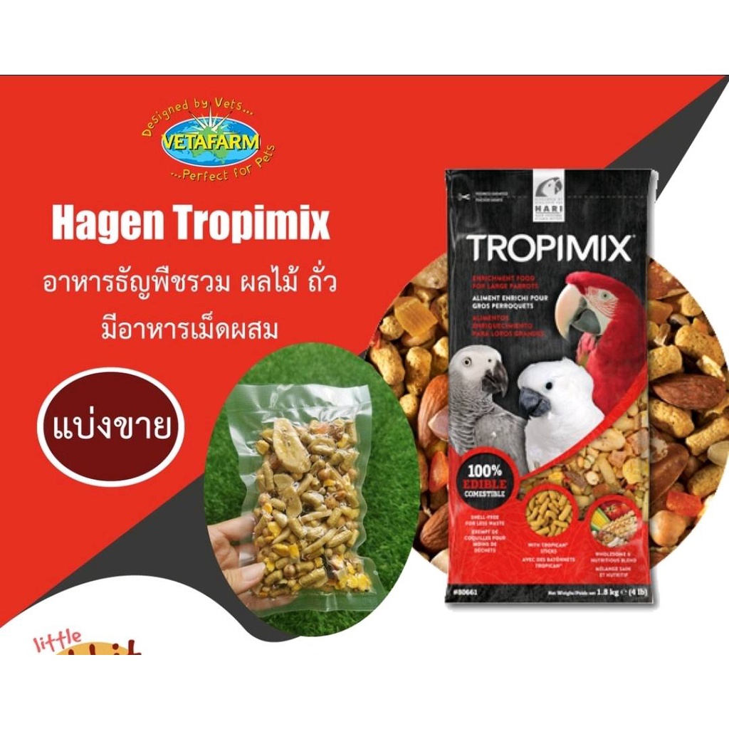 HAGEN Tropimix for large parrots แบ่งขาย อาหารนก ธัญพืชรวม ผลไม้แห้ง ถั่ว และอาหารเม็ดสำเร็จรูป