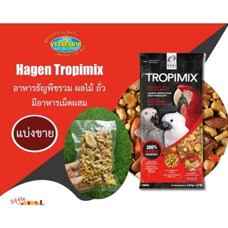 HAGEN Tropimix for large parrots แบ่งขาย อาหารนก ธัญพืชรวม ผลไม้แห้ง ถั่ว และอาหารเม็ดสำเร็จรูป สำหรับนกขนาดใหญ่