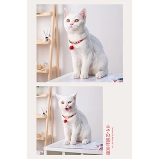 ปลอกคอสไตล์ญี่ปุ่นน่ารัก ปลอกคอสัตว์เลี้ยง สำหรับสัตว์เลี้ยง เช่นแมว หมา โบว์สุนัข