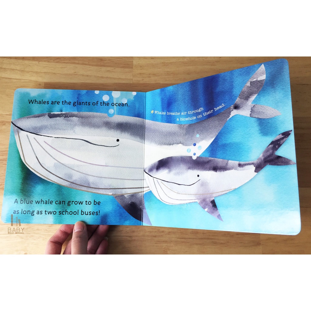 *พร้อมส่ง* ✅ Hello, World! Ocean Life หนังสือเด็กภาษาอังกฤษ หนังสือเสริมพัฒนาการ นิทานภาษาอังกฤษ ราคา ถูกที่สุด ดีลบีเคเค แกลเลอรีภาพที่ 3