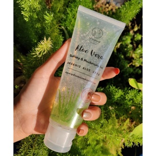 O Natural Aloe Vera Gel เจลว่านหางจระเข้