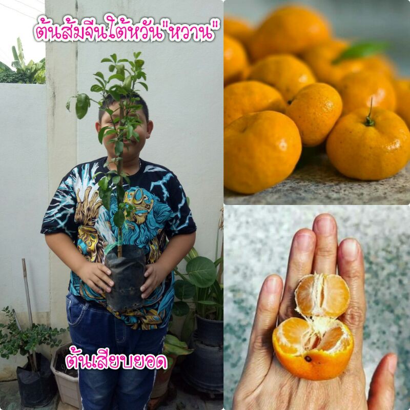 My Image 16