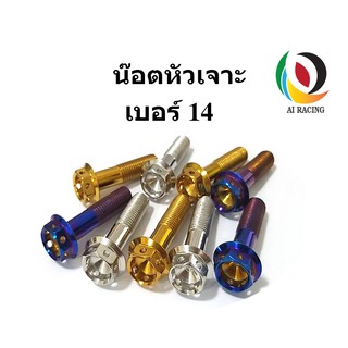 น๊อตหัวเจาะ 6 รู เบอร์ 14 M10x15-M10x70