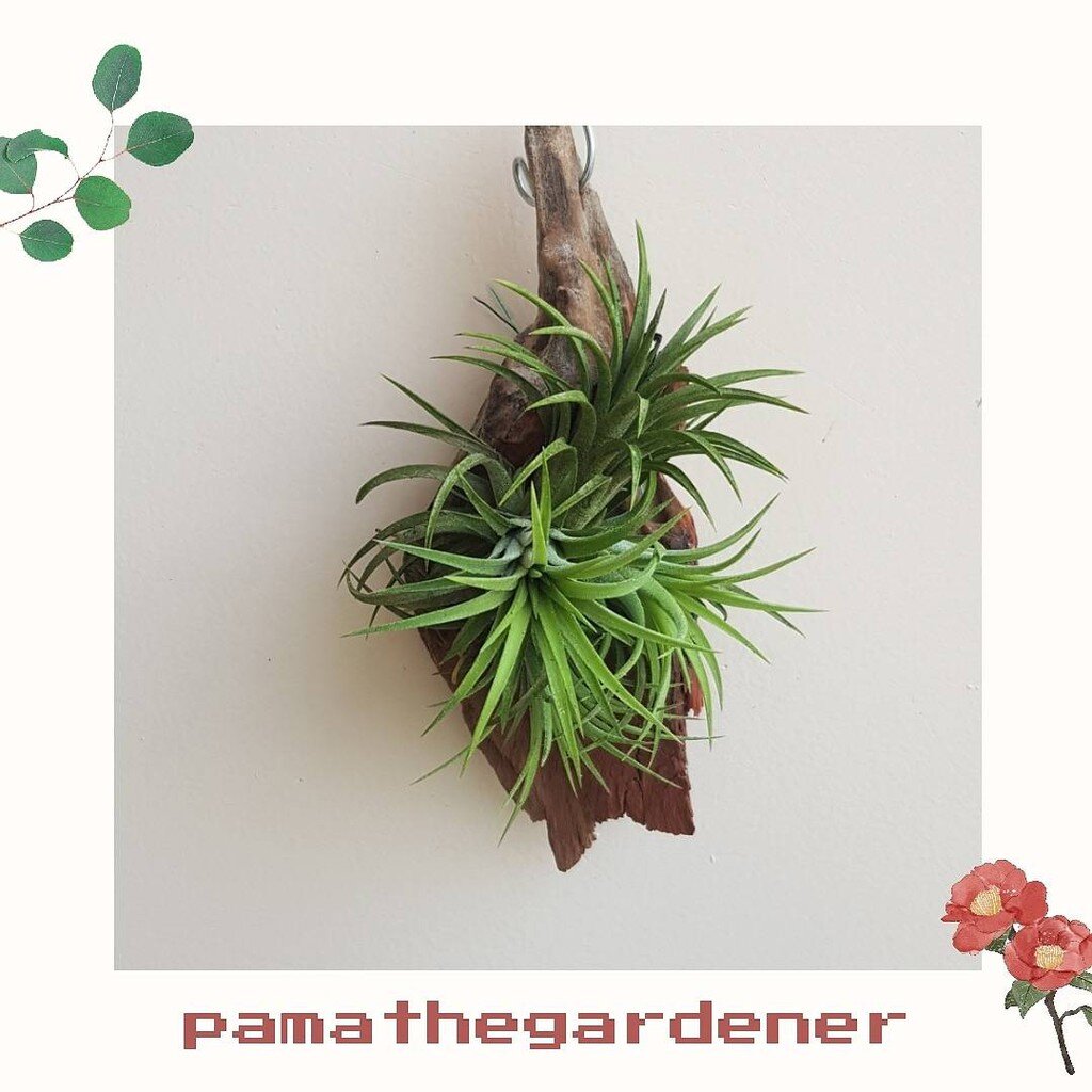 มุมมอง 4