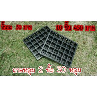 ถาดหลุม สี่เหลี่ยม 2 นิ้ว ขนาด 30 หลุม