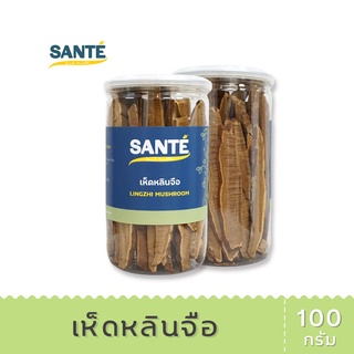 SANTÉ ซานเต้ เห็ดหลินจือ หลินจือแดง Lingzhi Mushroom ขนาด 100 กรัม