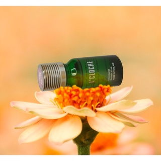 Spring Flower Essential Oil ขนาด 10mL - น้ำมันหอมระเหย นำเข้าจากต่างประเทศ