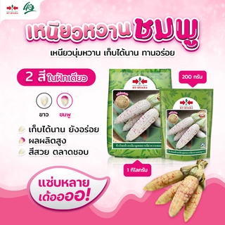 ข้าวโพดข้าวเหนียวหวานชมพู ขนาด 1 กิโลกรัม