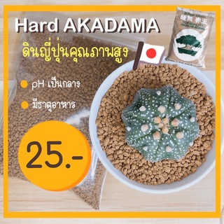 ดินญี่ปุ่น Top quality hard AKADAMA size S