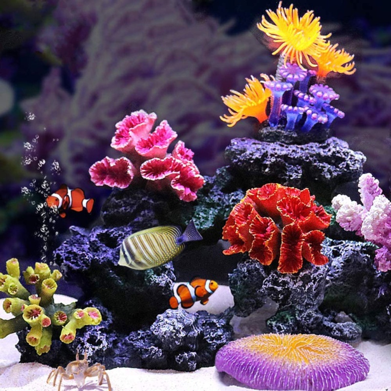 ปะการังเทียม Reefs ปะการัง Reefs ปะการังปลอม ปะการังเทียม ปะการังตู้ปลา ปะการัง aquascape ปะการังตู้