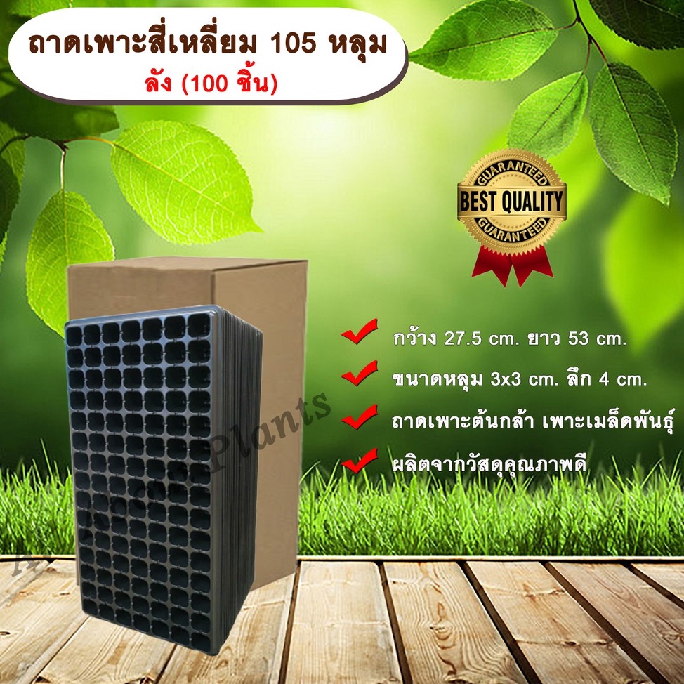 ถาดเพาะสี่เหลี่ยม 105 หลุม ลัง (100 ชิ้น) ถาดเพาะต้นกล้า ถาดเพาะเมล็ดพันธุ์ ขนาด 105 หลุม allaboutpl