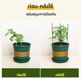 กรงพืช โครงเถาวัลย์ เสามะเขือเทศ ซุ้มไม้ โครงปลูก อุปกรณ์สำหรับพืชไม้เลื้อย จัดทรงต้นไม้ ไม้เลื้อย 45/60/75/90/120ซม.