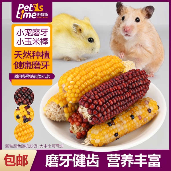 My Image 33