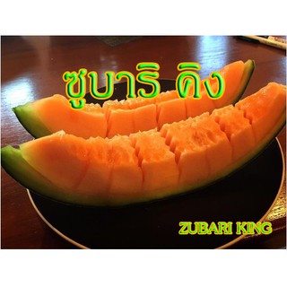 เมล็ดเมล่อนญี่ปุ่น ซูบาริ คิง (Zubari king) 10เมล็ด