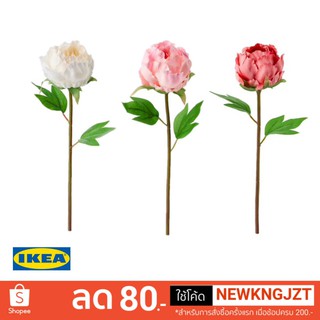 IKEA ดอกไม้ประดิษฐ์ SMYCKA (ดอกโบตั๋น) 30 ซม.