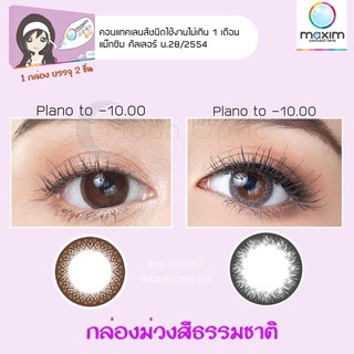 Maxim Blink กล่องม่วงสี Natural Gray เลนส์สีเน้นธรรมชาติ (1 กล่อง :1 คู่)