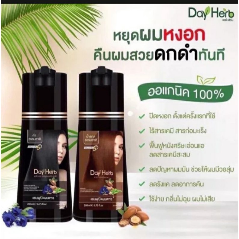 DayHerb เดย์เฮิร์บ แชมพูปิดผมหงอกสมุนไพร เปลี่ยนสีผม แค่สระเพียง 5-10 นาที เท่านั้น