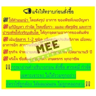 โฟลิดอน กำจัดมด มดแดง มดคันไฟ เห็บ ไร แมลงสาบ ไส้เดือน หนอน ปู กิ้งกือ ตะขาบ ยาน๊อค ถูกตัวตาย ซันดิทรอยด์10% ขนาด100cc