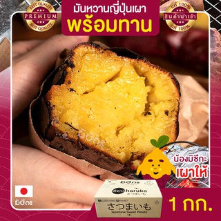 มันหวานญี่ปุ่น 1kg เผา พร้อมทาน นำเข้าจากญี่ปุ่นแท้ 100% เบนิฮารุกะ ปลูกที่ญี่ปุ่น หวาน ฉ่ำ สดใหม่ทุกสัปดาห์ ส่งฟรี