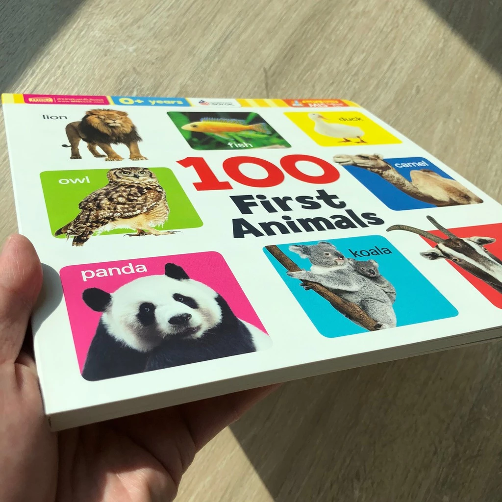 หนังสือบอร์ดบุ๊ค กระดาษแข็ง หนา ฉีกไม่ขาด 🔖 หนังสือเด็กเล็ก หนังสือคำศัพท์ 🔖 ใช้กับ talking pen ได้ misbook thumbnail 4