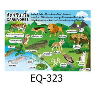 สัตว์กินเนื้อ EQ-323 สื่อโปสเตอร์ภาพ กระดาษ หุ้มพลาสติก