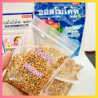 ปุ๋ยออสโมโค้ท ออสโมโค้ทพลัส ปุ๋ยละลายช้า ขนาด 100 กรัม ไม้กระถาง กล้วยไม้ แคตตัส ไม้ดอก ไม้ประดับ 13-13-13 12-25-6+1%