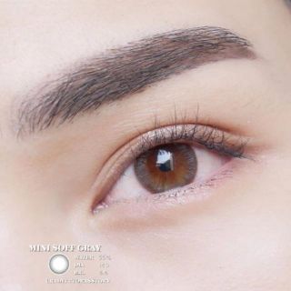 ค่าสายตา0.00-10.00❤️ คอนแทคเลนส์ mini soff grey by kittykawaii