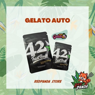 Fastbuds เมล็ดพันธุ์ Gelato Auto เมล็ดกัญชานอก เมล็ดกัญชาค่าย Fastbuds เมล็ดกัญชา เพศเมีย