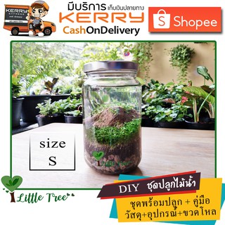 ชุดปลูกไม้น้ำ DIY พร้อมขวดโหล size S มีสินค้าพร้อมส่ง