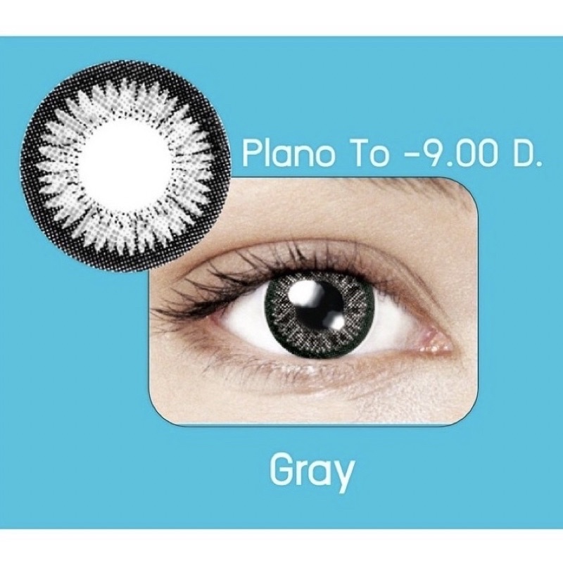 กล่องฟ้า GRAY Dia 14.0 สีเทา คอนแทคเลนส์ Maxim Contact lens คอนแทคเลนส์สี รายเดือน ตาโต สายตาสั้น