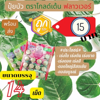 ปุ๋ยบัว ตราโกลด์เด้น ฟลาวเวอร์ ปุ๋ยบอน ปุ๋ยบอนสี ปุ๋ยไม้น้ำ Golden Flowers 14 เม็ด