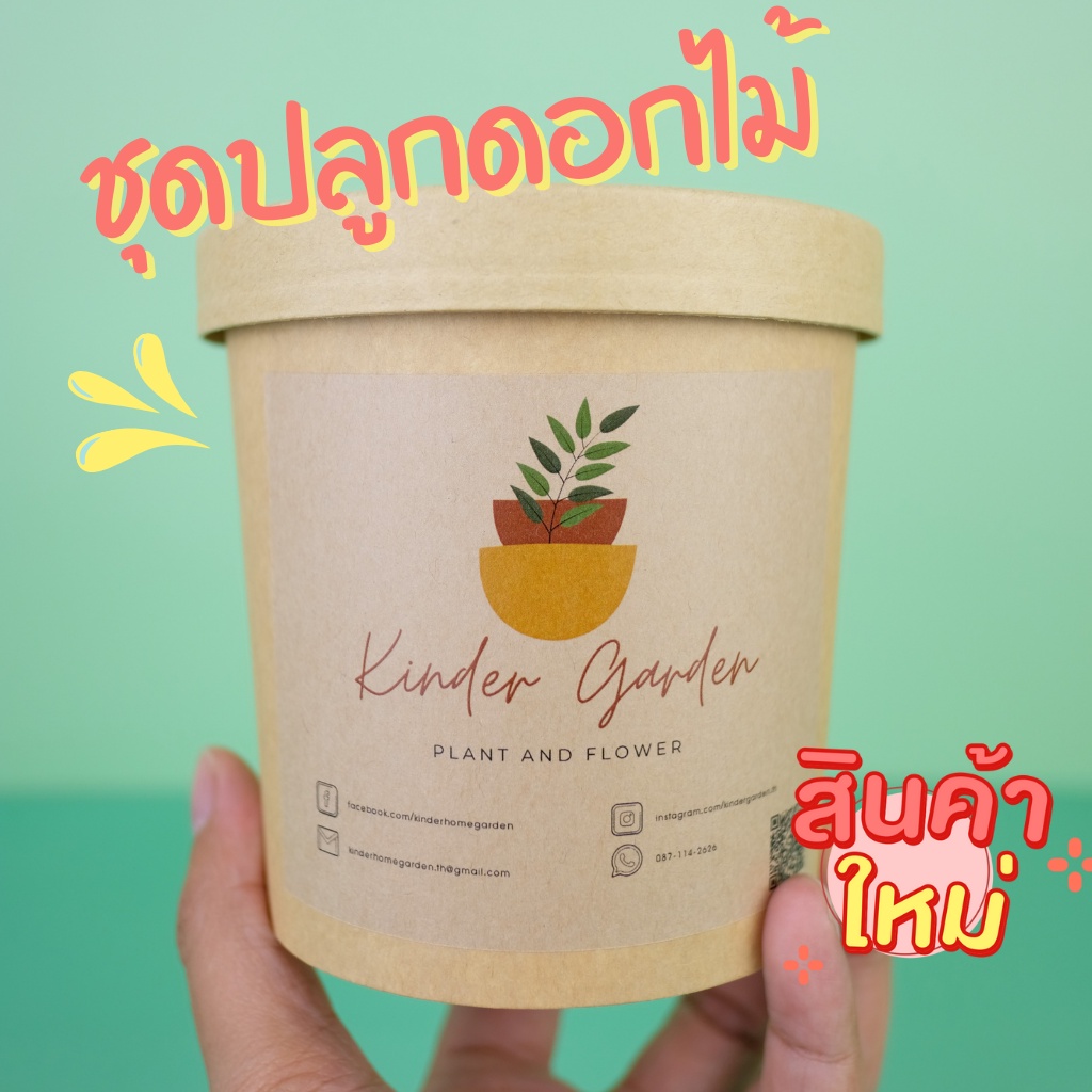 ชุดปลูกดอกไม้ ชุดพร้อมปลูก ชุดของขวัญ Mini set