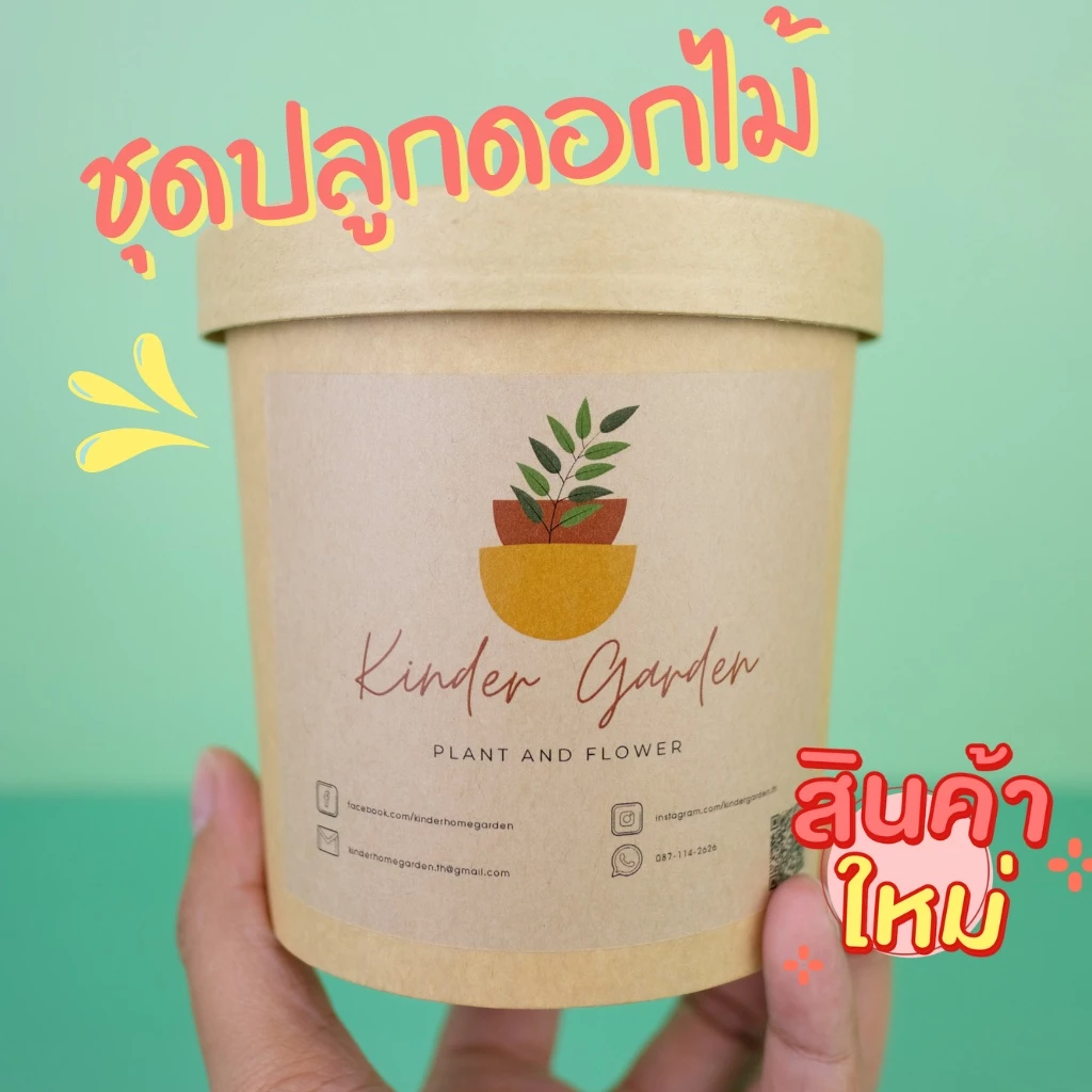 ชุดปลูกดอกไม้ ชุดพร้อมปลูก ชุดของขวัญ Mini set