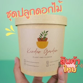 ชุดปลูกดอกไม้ ชุดพร้อมปลูก ชุดของขวัญ Mini set