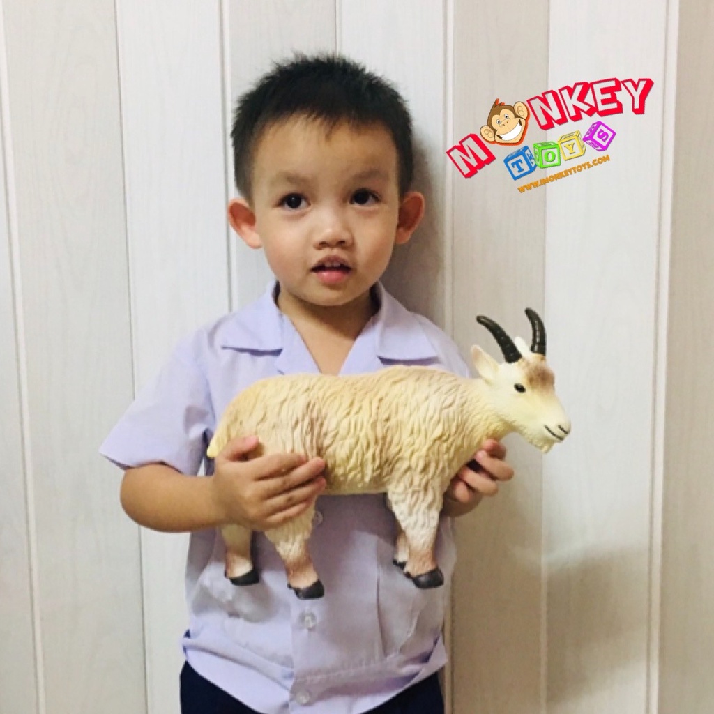 Monkey Toys โมเดลสัตว์ Goat แพะ ขนาด 26.00 CM แบบนิ่ม (จากหาดใหญ่)