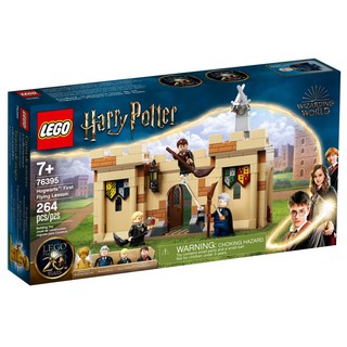 LEGO Harry Potter First Flying Lesson 76395